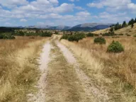 Sale, land lot, 36000m², Žabljak, Crna Gora - image 3