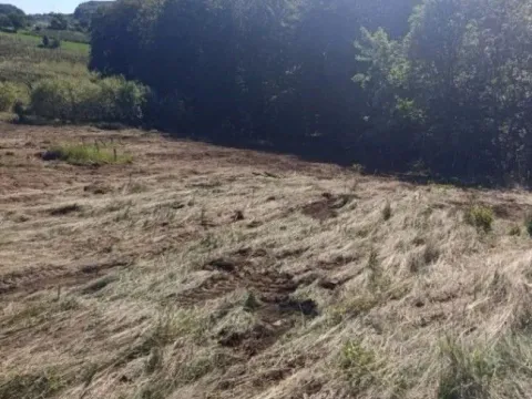 Sale, land lot, 8000m², Kržava, Krupanj - image 7