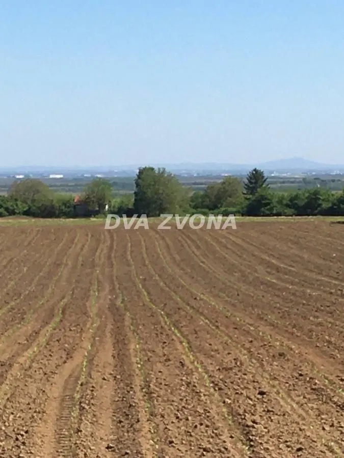 Prodaja, plac, 1300m², Čortanovci, Inđija