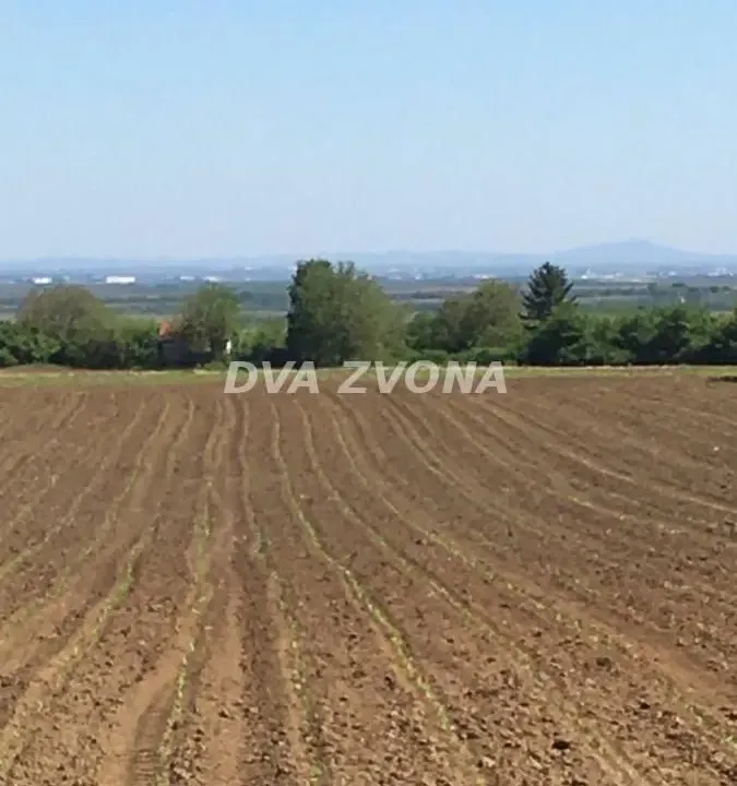 Sale, land lot, 1300m², Čortanovci, Inđija