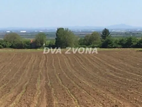 Prodaja, plac, 1300m², Čortanovci, Inđija