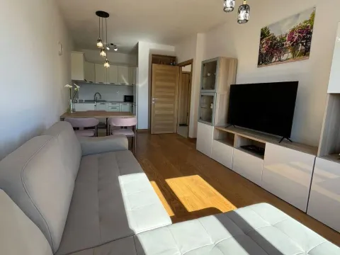 Prodaja, jednosoban stan, 46m², City Kvart, Podgorica - image 4