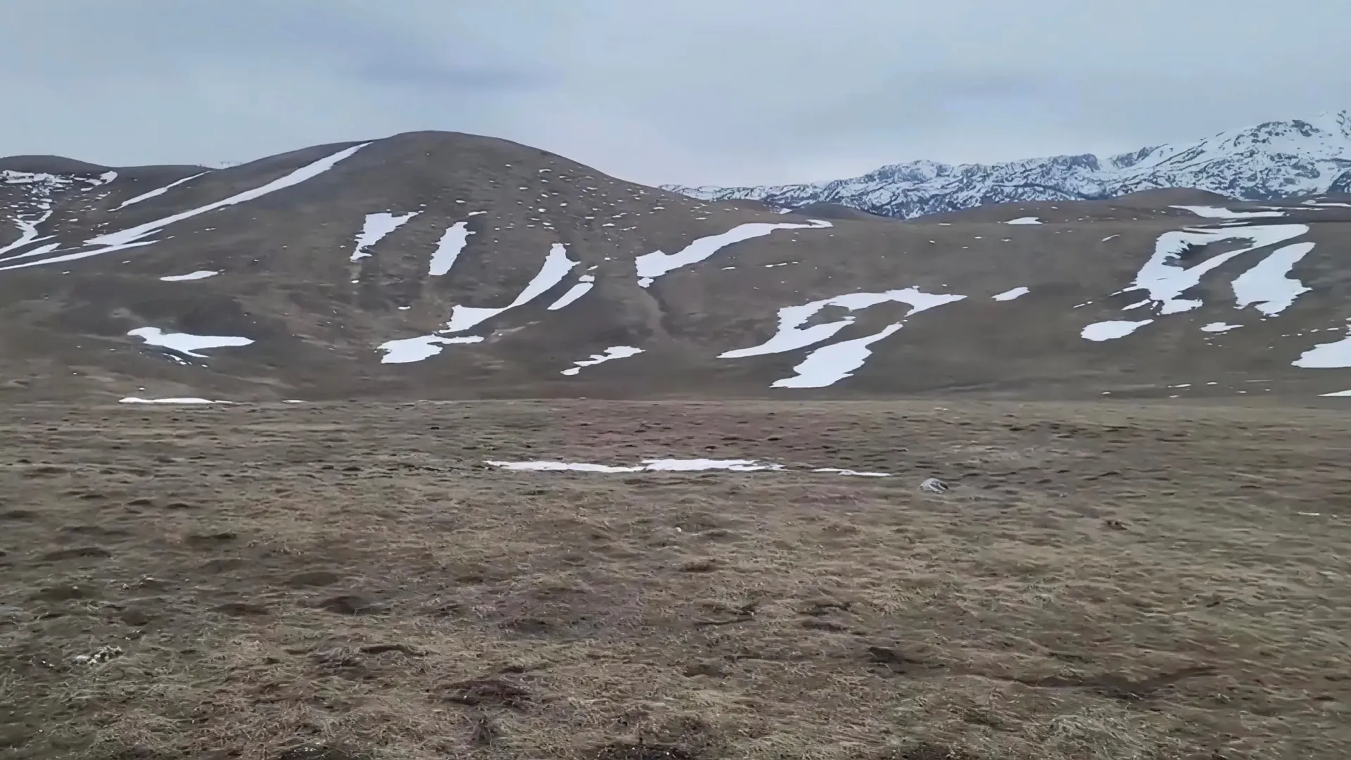 Prodaja, plac, 110000m², Novakovići, Žabljak
