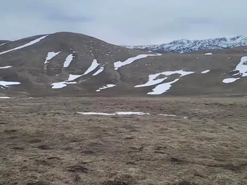 Prodaja, plac, 110000m², Novakovići, Žabljak - image 3