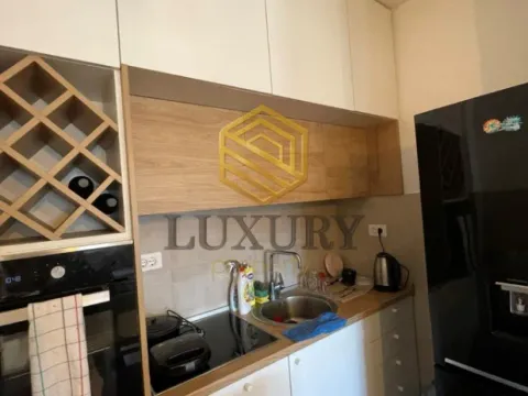 Izdavanje, jednosoban stan, 46m², City Kej, Podgorica - image 8