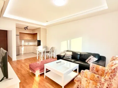 Izdavanje, jednosoban stan, 47m², Zabjelo, Podgorica - image 4