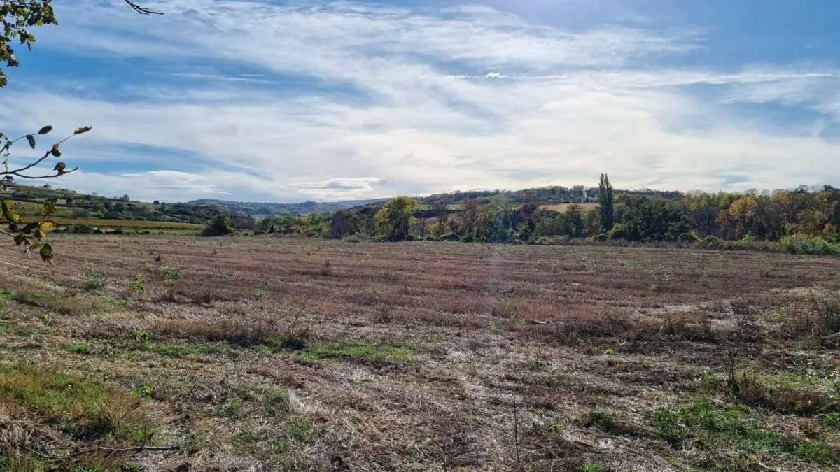 Prodaja, plac, 234m², Sremski Karlovci, Novi Sad
