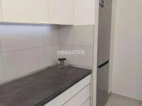 Izdavanje, dvosoban stan, 60m², Novi Beograd Sve Podlokacije, Beograd - image 7