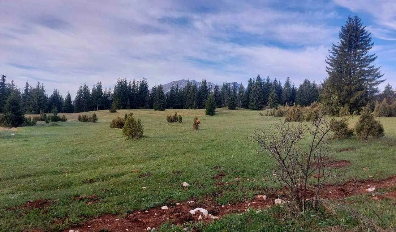 Prodaja, plac, 17500m², Uskoci, Žabljak