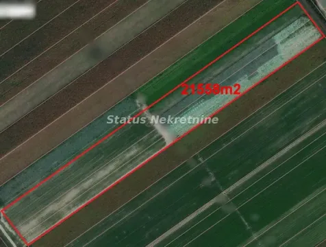 Satelitski snimak parcele sa ucrtanim granicama i površinom. - image 9
