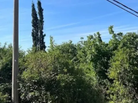 Sale, land lot, 2300m², Babe, Sopot - image 3