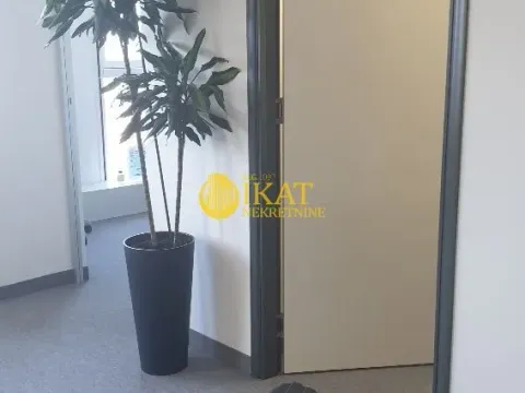 Izdavanje, poslovni prostor, 289m², Tašmajdan, Palilula Sve Podlokacije - image 16