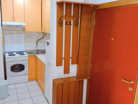 Izdavanje, jednosoban stan, 32m², Bulevar Oslobodjenja, Novi Sad Sve Podlokacije - image 3