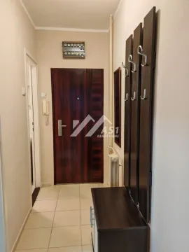 Izdavanje, jednosoban stan, 38m², Sajam, Novi Sad Sve Podlokacije - image 6