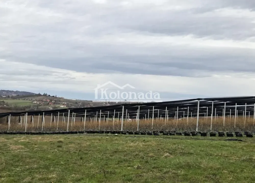 Prodaja, plac, 14500m², Sopot, Beograd