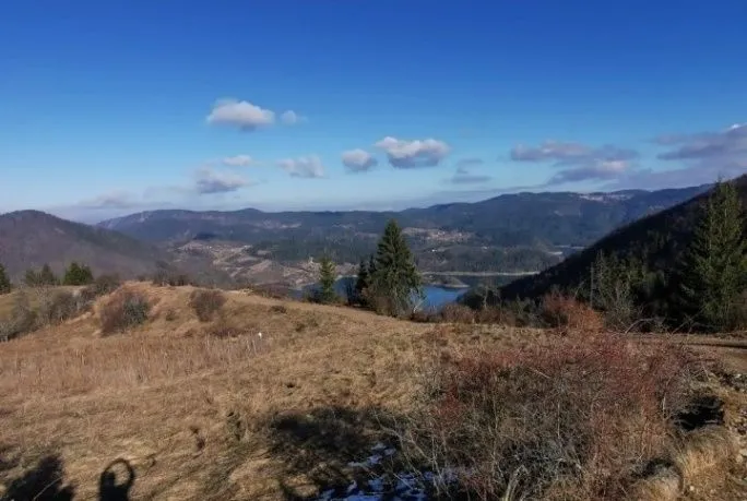 Prodaja, plac, 4390m², Tara, Srbija