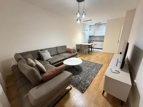 Rent, one bedroom apartment, 49m², Central Point, Podgorica - image 2