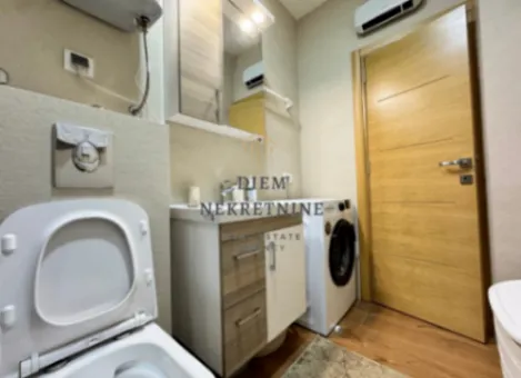 Izdavanje, jednosoban stan, 45m², Pod Goricom, Podgorica - image 12