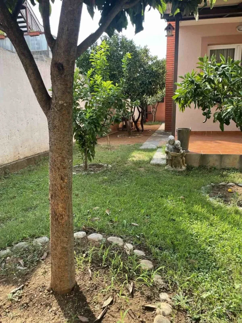 Uređeno dvorište sa travnjakom, drvećem i popločanim dijelom ispred kuće.