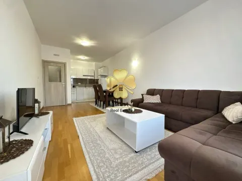 Izdavanje, jednosoban stan, 50m², Stari Aerodrom, Podgorica - image 1