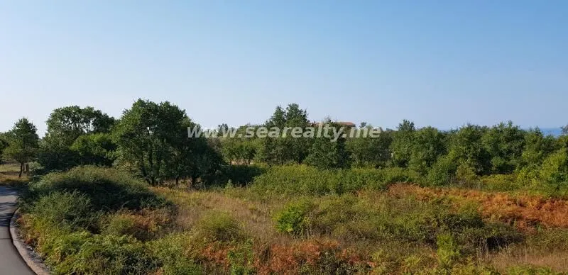 Prodaja, plac, 6400m², Krimovica, Kotor