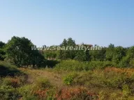 Sale, land lot, 6400m², Krimovica, Kotor - image 7