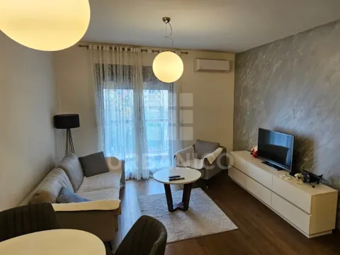 Rent, one bedroom apartment, 48m², Ljubović, Podgorica - image 1