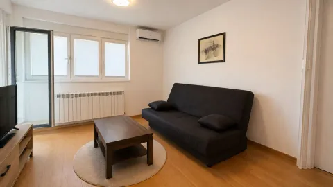 Dnevna soba sa crnim kaučem, drvenim stočićem i izlazom na terasu. - image 3