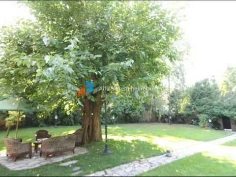 Rent, house, 160m², Savski Venac, Beograd