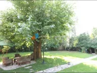 Izdavanje, kuća, 160m², Savski Venac, Beograd - image 1