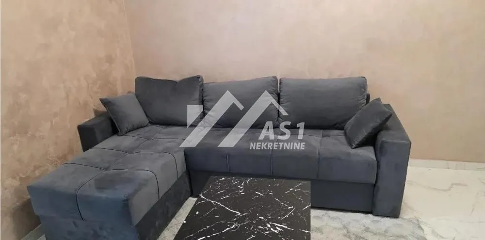 Rent, one bedroom apartment, 45m², Veternik, Novi Sad Sve Podlokacije