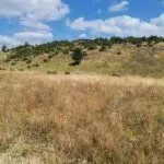 Prodaja, plac, 35832m², Žabljak, Crna Gora - image 6