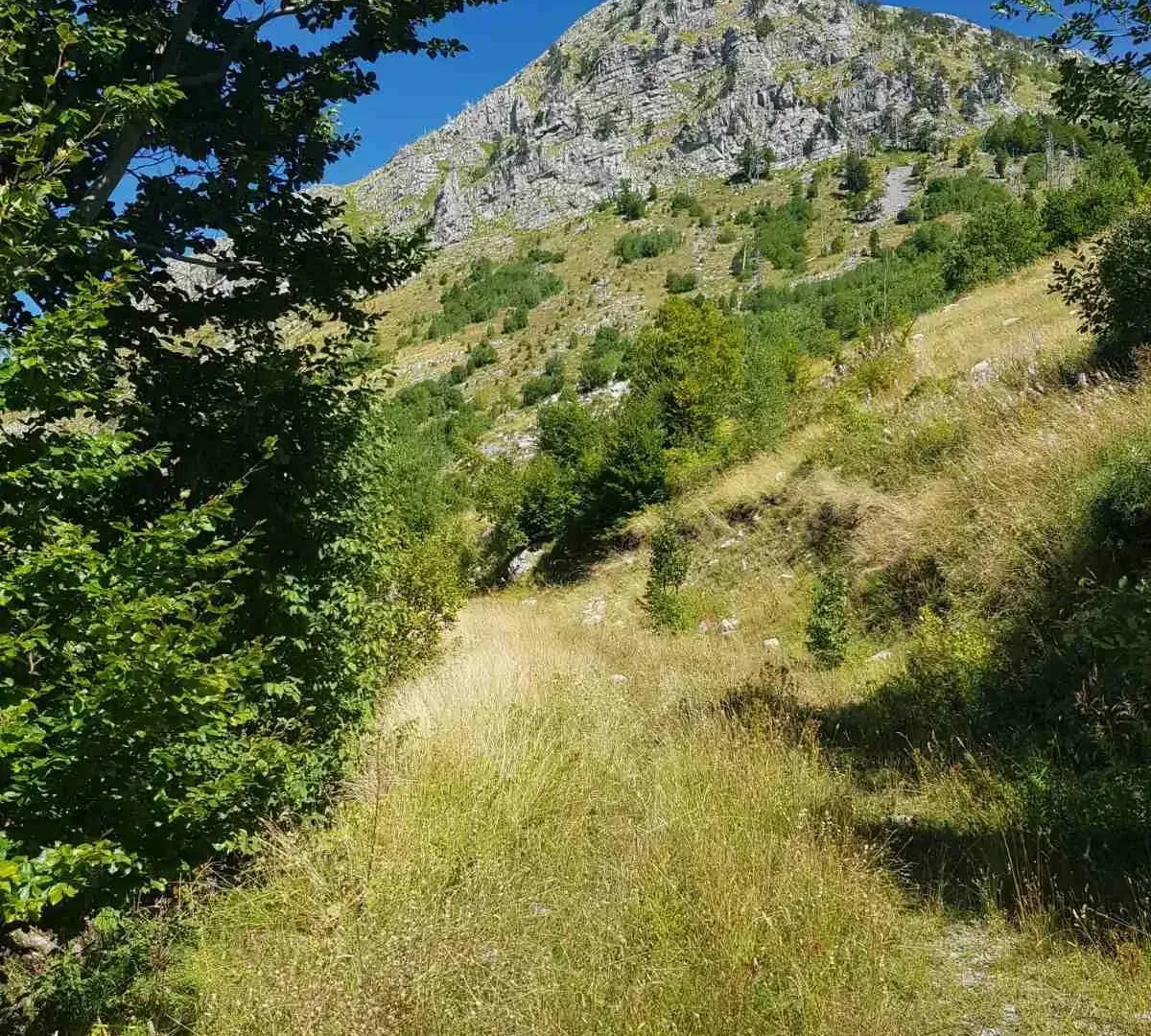 Prodaja, plac, 725000m², Podgorica, Crna Gora