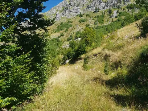 Prodaja, plac, 725000m², Podgorica, Crna Gora - image 7