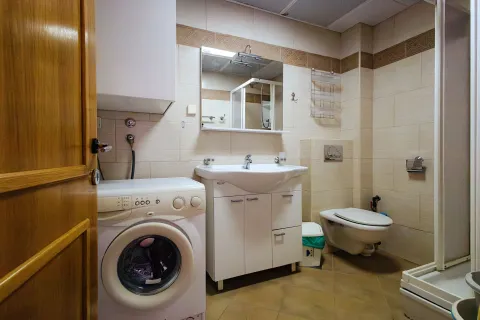 Fully equipped bathroom with a washbasin, toilet, shower cabin, and washing machine. - image 16