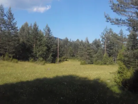 Prodaja, zemljište, 9000m2, Borje, Žabljak Prodaja, zemljište, 9000m2, Borje, Žabljak