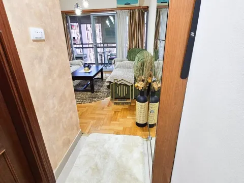 Izdavanje, jednosoban stan, 40m², Podgorica, Crna Gora - image 8