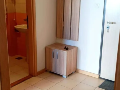 Rent, one bedroom apartment, 52m², Pobrežje, Podgorica - image 5