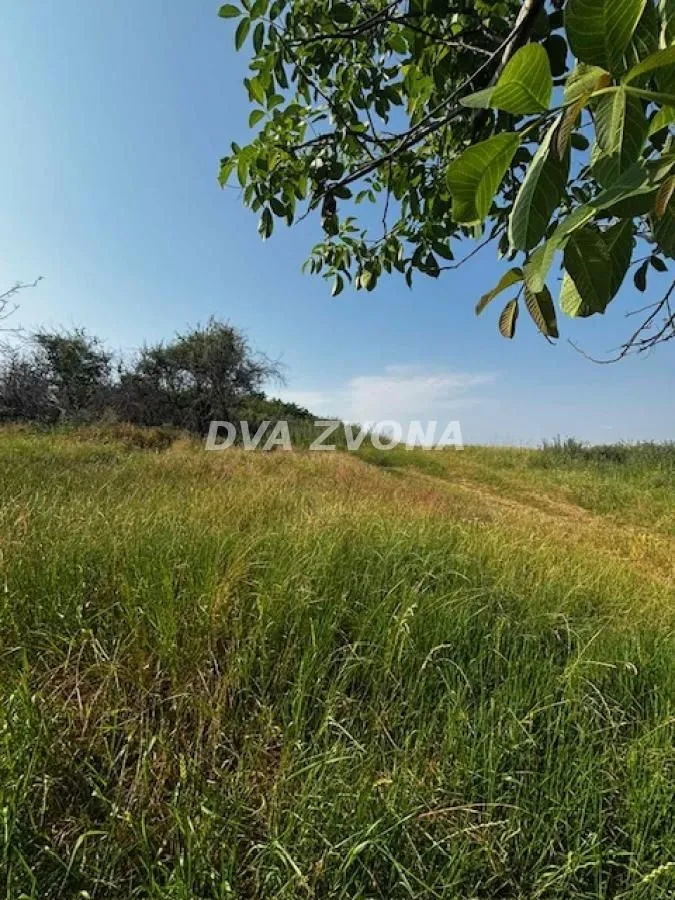 Prodaja, plac, 4700m², Čortanovci, Inđija