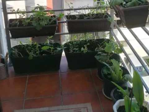 Sale, two bedroom apartment, 60m², Socijalno, Novi Sad Sve Podlokacije - image 9