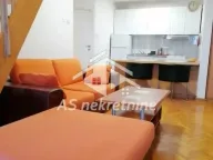 Izdavanje, stan, 65m², Botanička Bašta, Palilula Sve Podlokacije - image 4