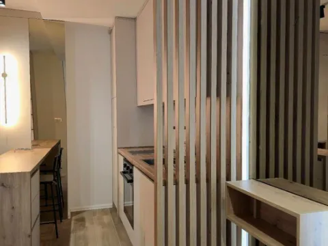 Izdavanje, garsonjera, 23m², Preko Morače, Podgorica - image 6