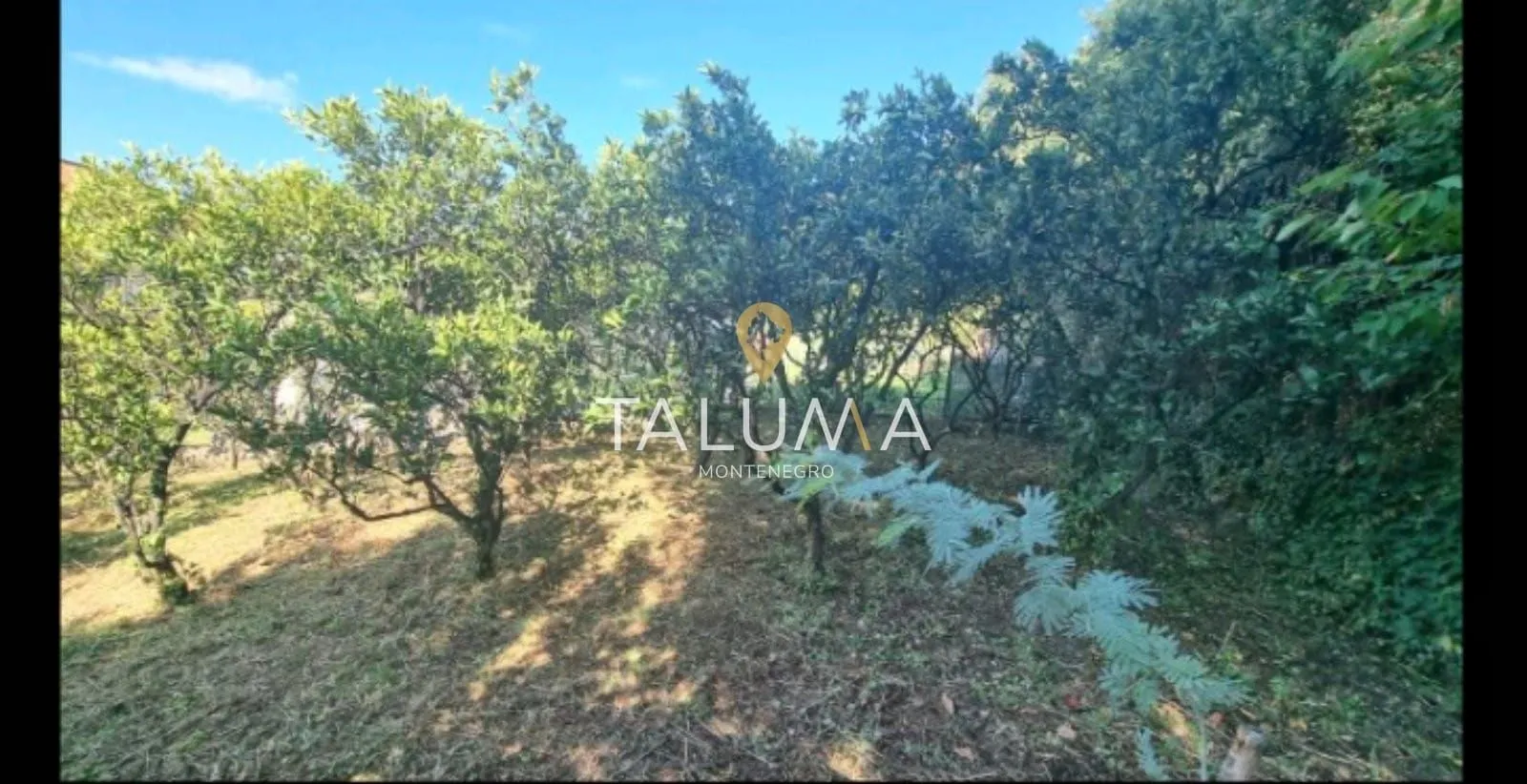 Prodaja, plac, 1658m², Kumbor, Herceg Novi