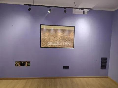 Izdavanje, poslovni prostor, 93m², Čukarica, Beograd - image 2