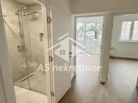 Rent, two bedroom apartment, 55m², Profesorska Kolonija, Palilula Sve Podlokacije - image 16