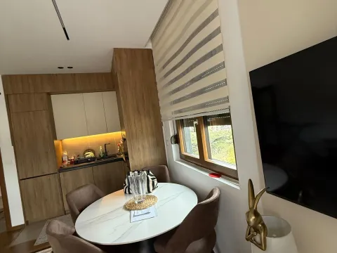 Rent, one bedroom apartment, 43m², Vezirov Most, Podgorica - image 5