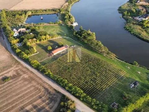 Sale, house, 230m², Srbobran, Novi Sad - image 78