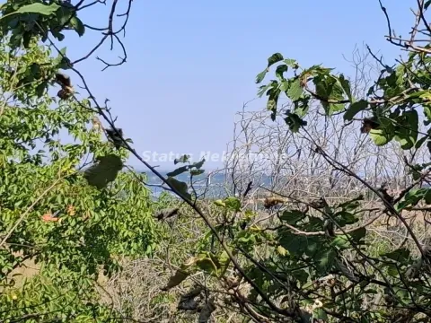 Prodaja, kuća, 30m², Ledinci, Petrovaradin - image 8