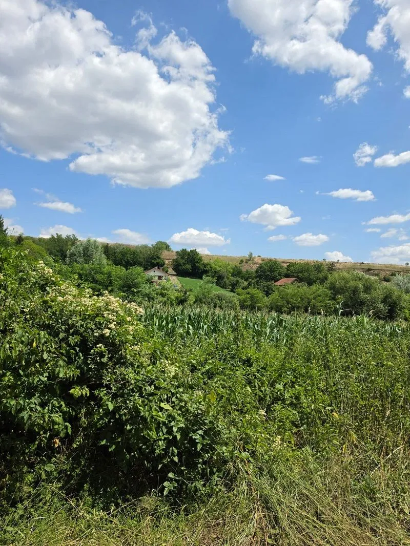 Prodaja, plac, 14200m², Irig, Srbija