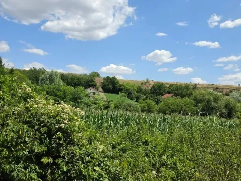 Prodaja, plac, 14200m², Irig, Srbija - image 3